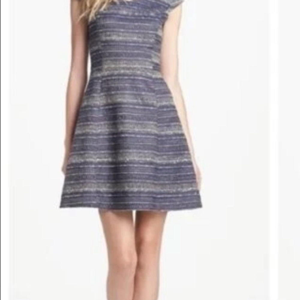 Lilly Pulitzer Navy Striped Mini Dress